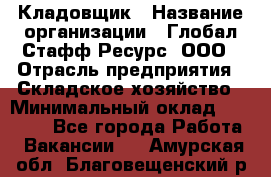 Кладовщик › Название организации ­ Глобал Стафф Ресурс, ООО › Отрасль предприятия ­ Складское хозяйство › Минимальный оклад ­ 20 000 - Все города Работа » Вакансии   . Амурская обл.,Благовещенский р-н